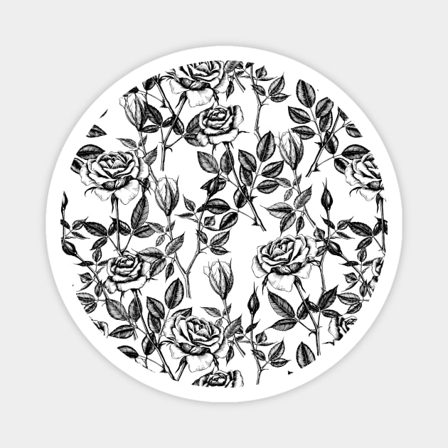 Roses drawing Magnet by katerinamk